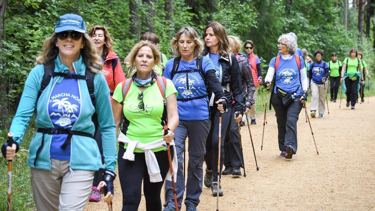 Un grupo de personas camina con bastones de trekking y senderismo.
