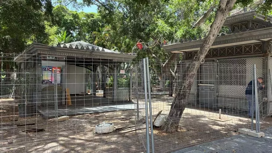 Ratas en la plaza del Príncipe, en Santa Cruz