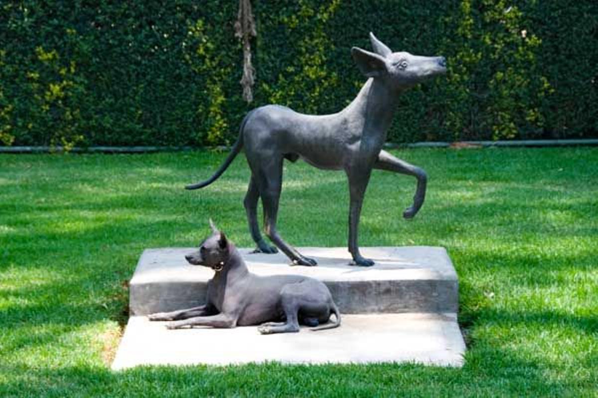 perros aztecas en el Museo Dolores Olmedo