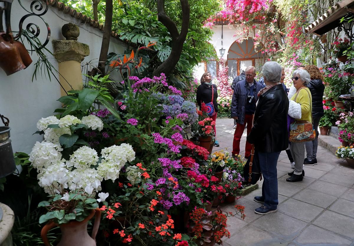 Paseando, patio a patio, por los jardines interiores de Santiago y San Pedro