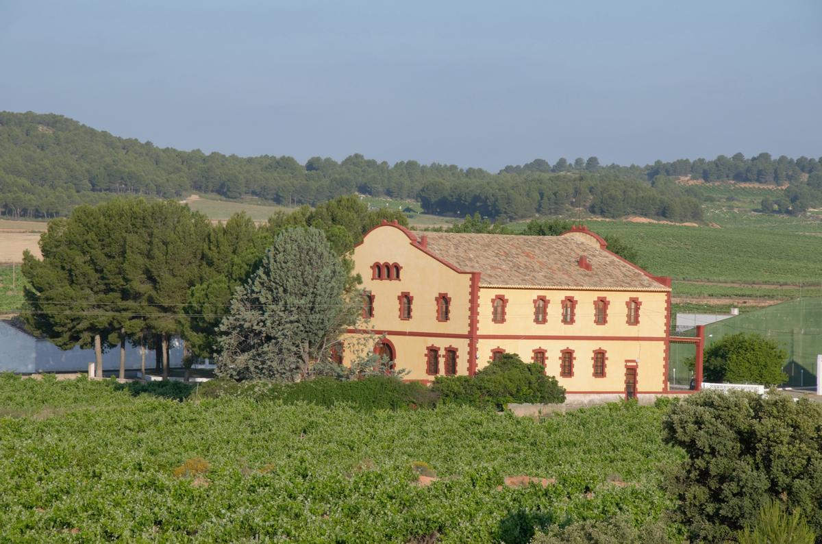 La finca “Casa Garrido”, junto con la antigua “El Parreño”, suman 200 Hectáreas de viñedo propio.