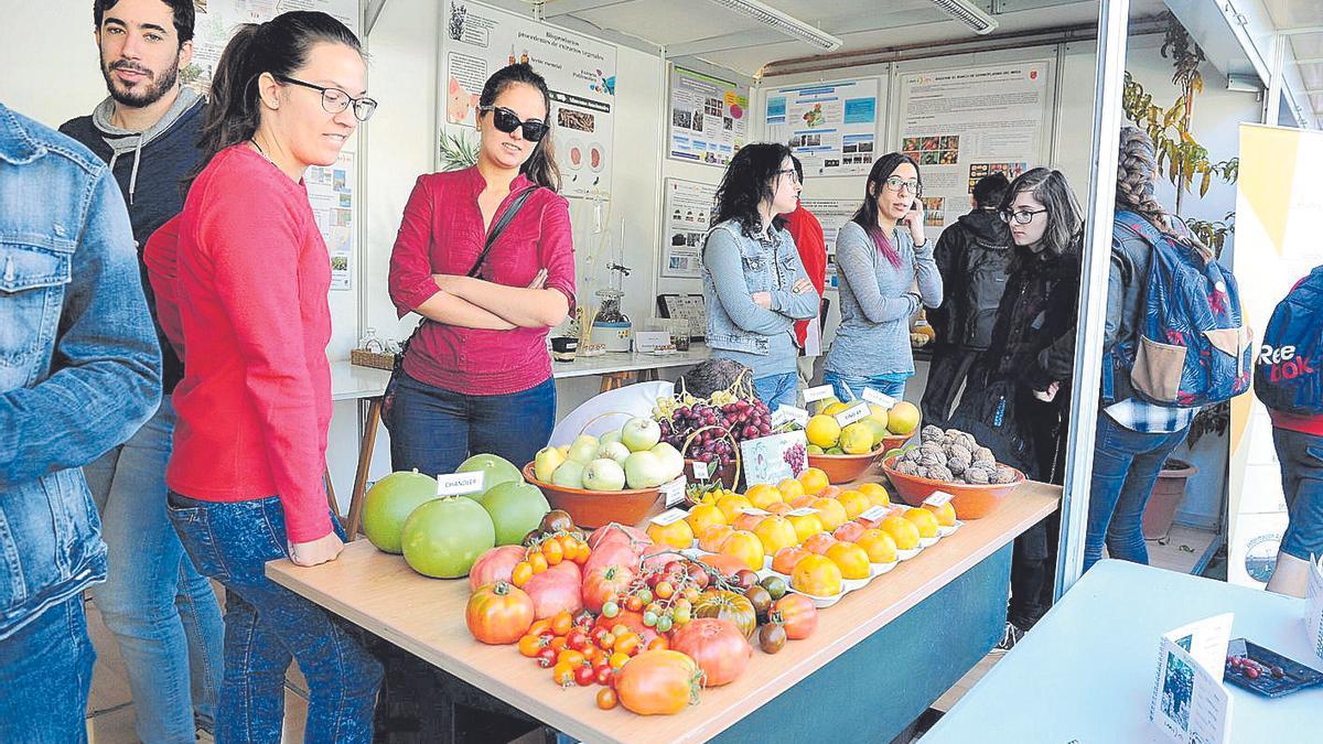 Más de 140 centros apuestan por convertirse en promotores de salud