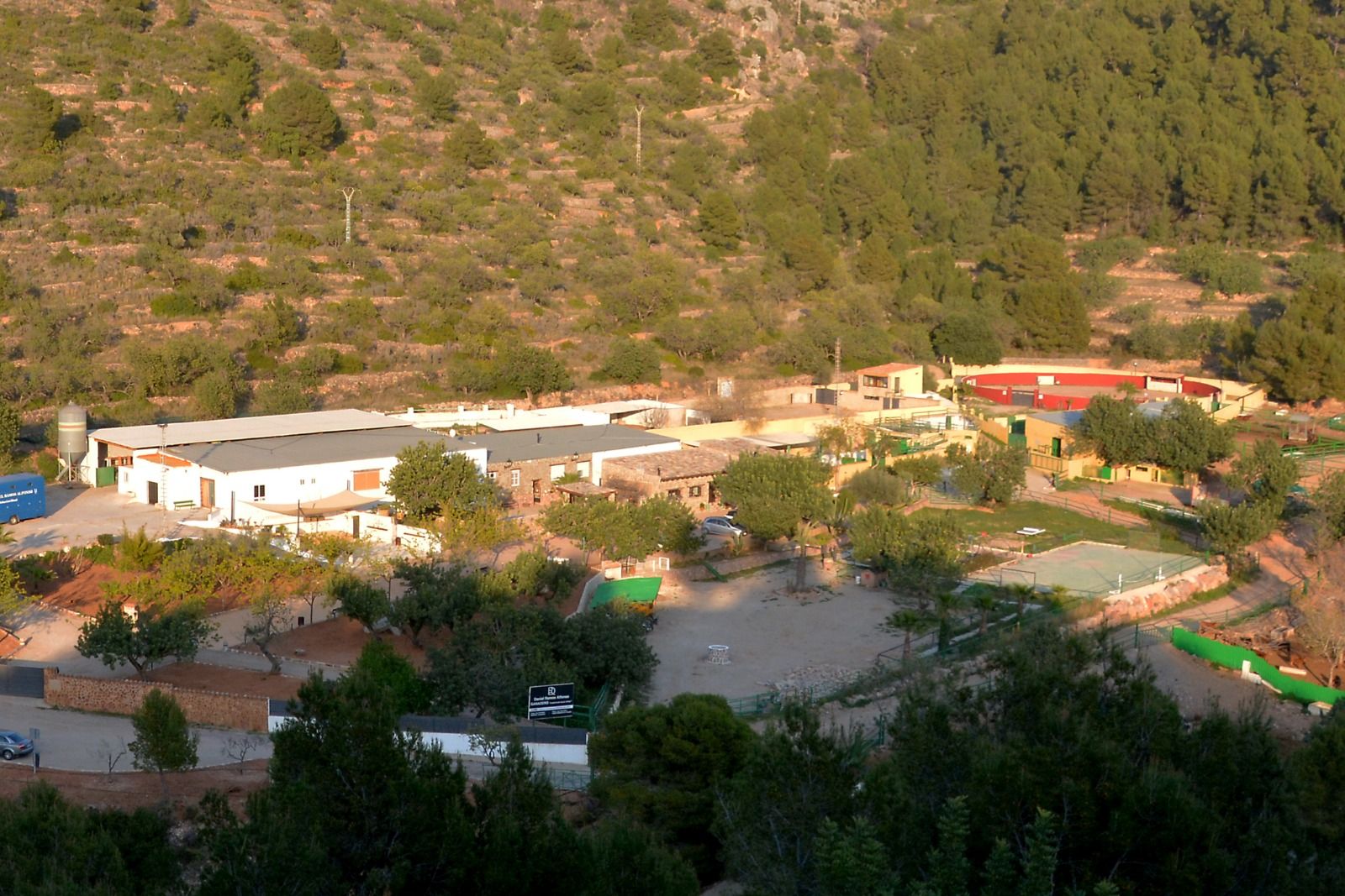 Naturaleza y plenitud: así viven los toros de la ganadería de Daniel Ramos