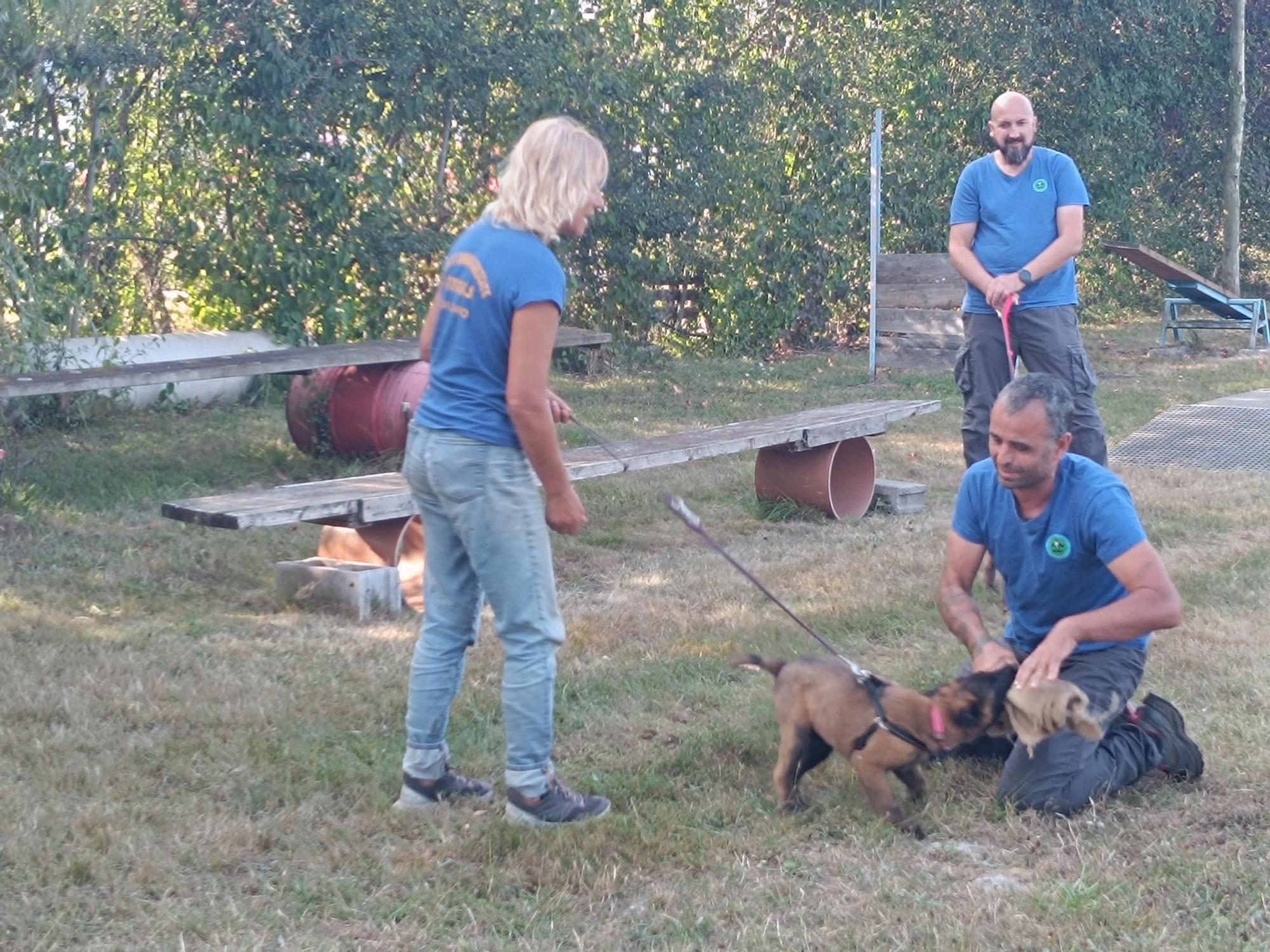 Así entrenan los nuevos integrantes de la Unidad Canina de Rescate del Principado