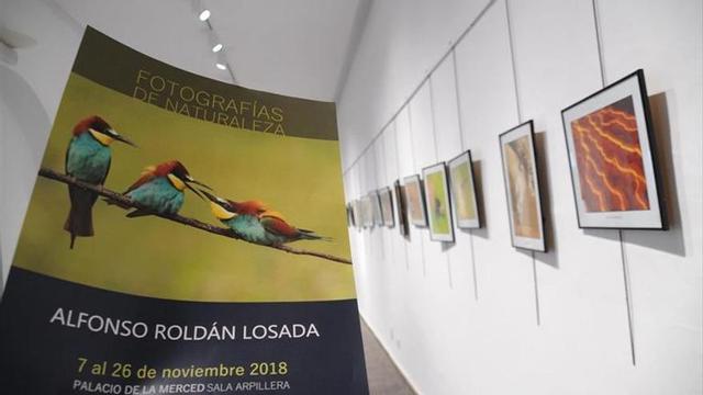 Exposición de fotografías de Alfonso Roldán