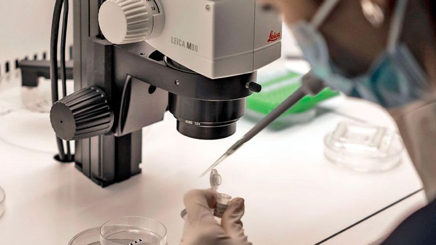 Un test genético de última generación revela el origen paterno o materno de las alteraciones cromosómicas en los embriones