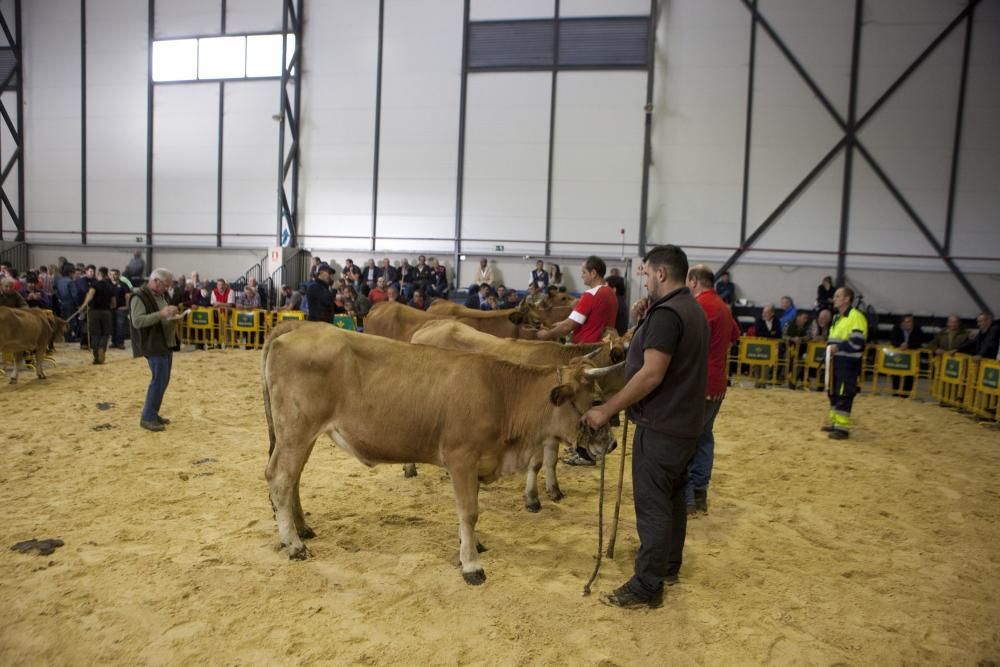 Fiestas de La Pontona en Pola de Laviana