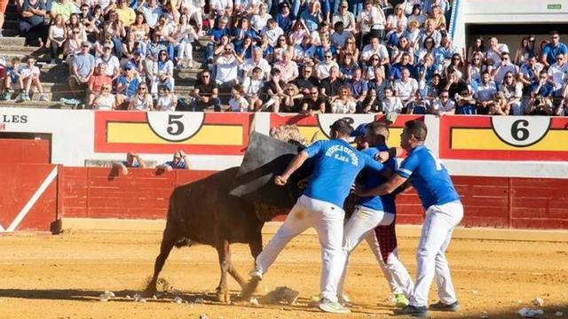 Las corridas de toros, el Grand Prix o las vaquillas populares serán algunos de los festejos de una amplia programación.
