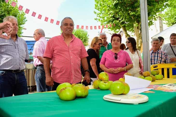 Fiesta de la manzana de Valleseco