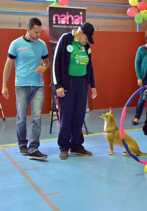 OLIMPIADA DEL ABUELO CANARIO