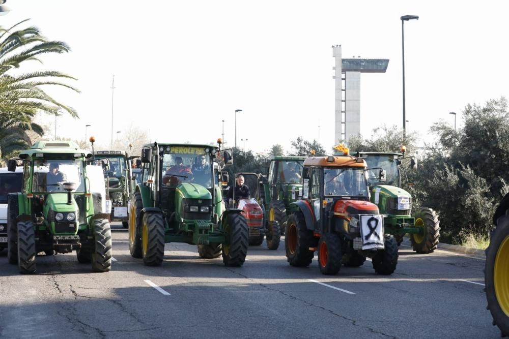 FOTOS: La tractorada de los agricultores toma València