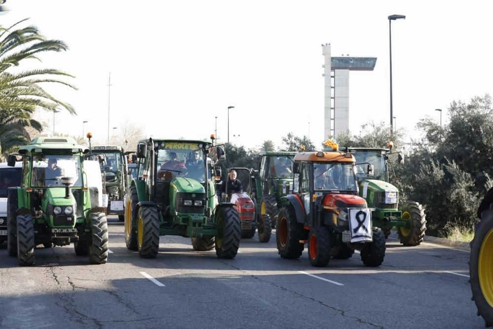 FOTOS: La tractorada de los agricultores toma Valencia