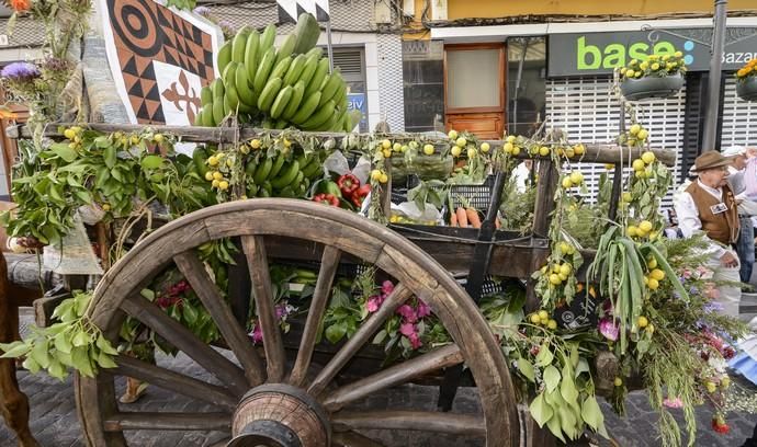 14/07/2018 GÁLDAR. Romería ofrenda de Gáldar. ...