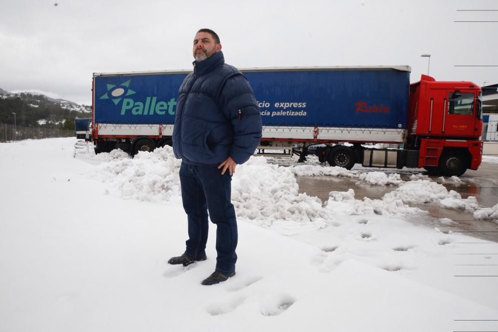 Efectos del temporal de nieve en Requena