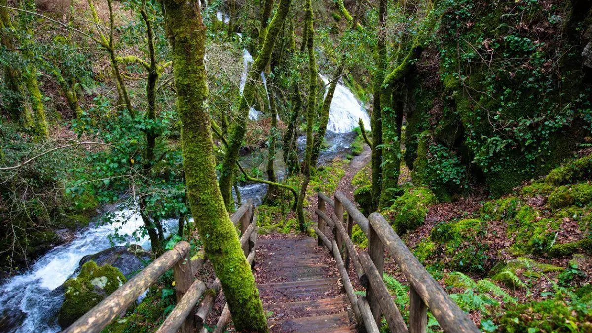 Una ruta mágica en el corazón de Pontevedra para este invierno: pasarelas y cascadas a solo 45 minutos de Vigo