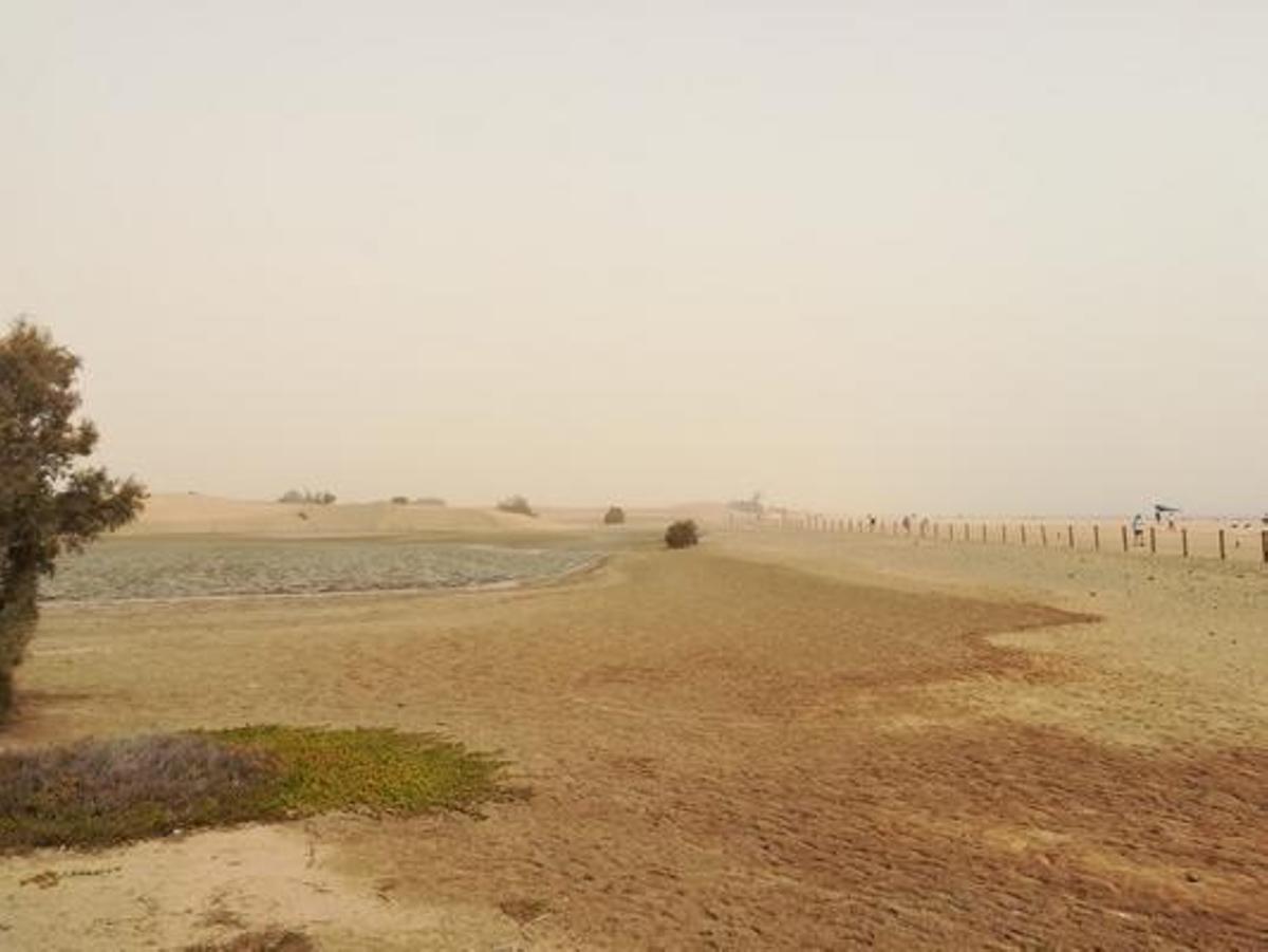 La calima tapona el cielo de Canarias