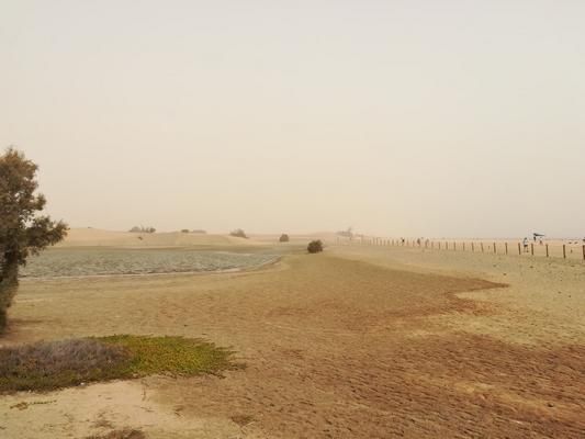 Segundo día de intensa calima en Canarias