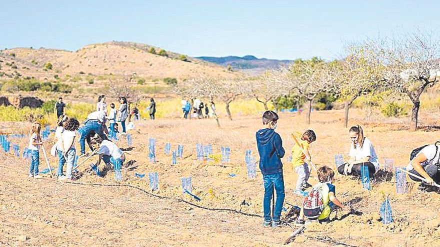 Voluntarios de Repsol y la asociación Creect crean el tercer banco de semillas de Cartagena