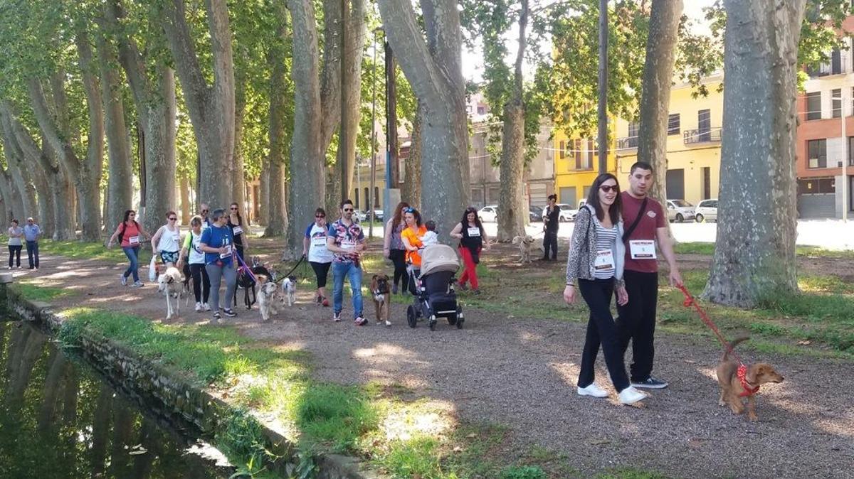 I Marxa Canina Solidària I Marxa Canina Solidària