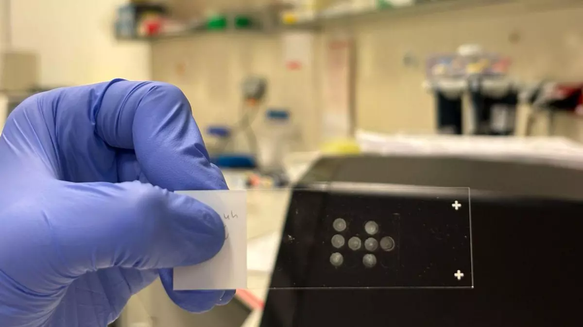 Un novedoso análisis celular promete revolucionar la medicina de precisión