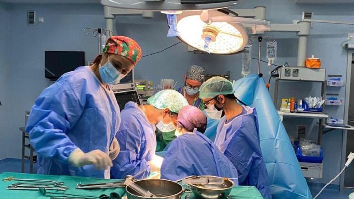 Realización de un trasplante en el hospital Reina Sofía.
