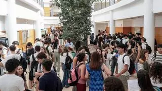 La UA participa en un proyecto europeo contra la desinformación de los estudiantes