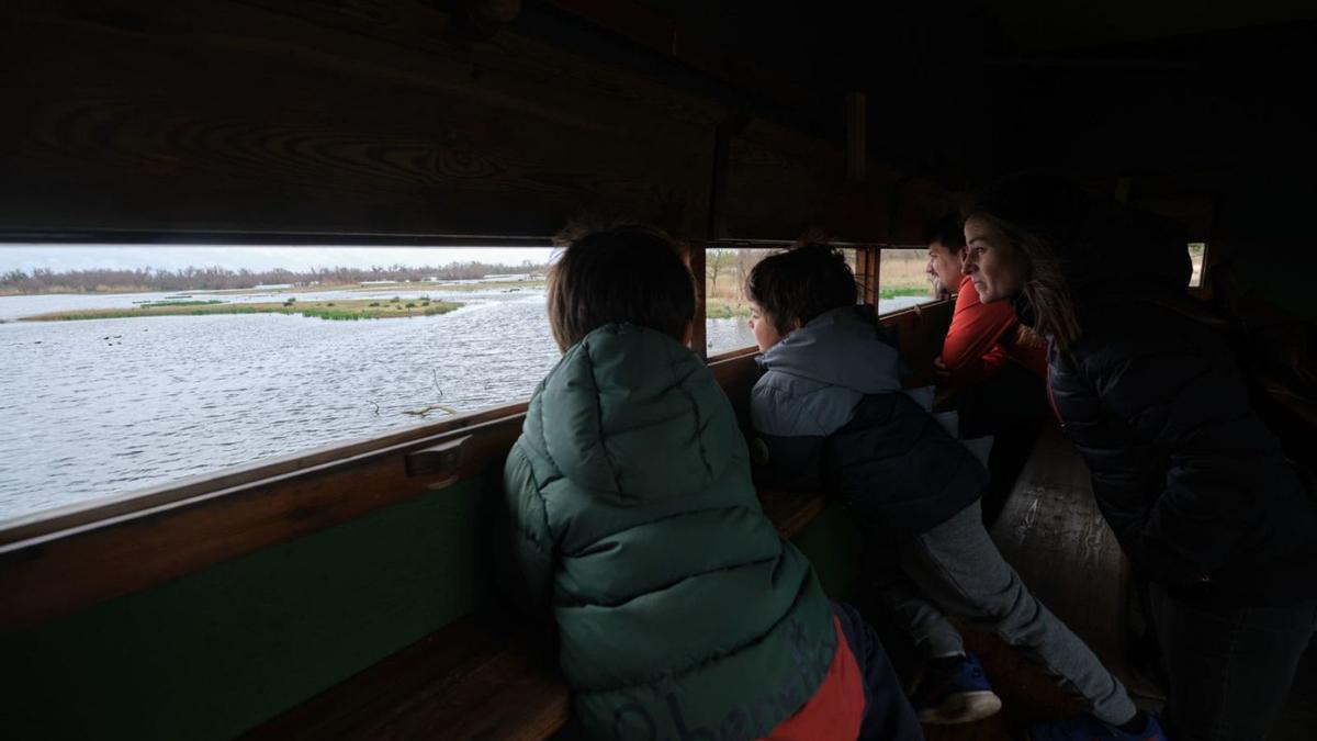 L’observació d’aus és una de les activitats més encisadores dels Aiguamolls d’Empordà BORJA BALSERA