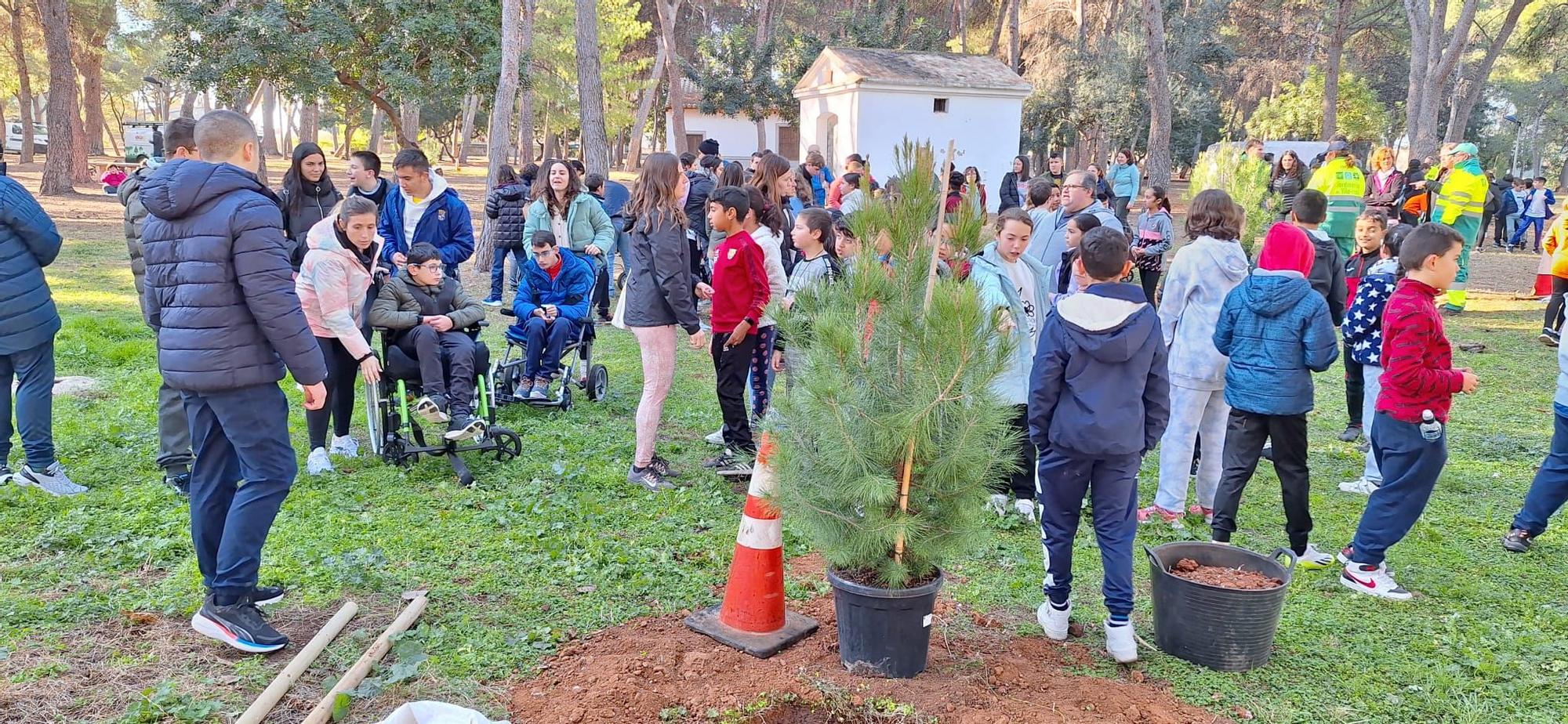 Los escolares de Vila-real celebran el Día del Árbol en el paraje del Termet