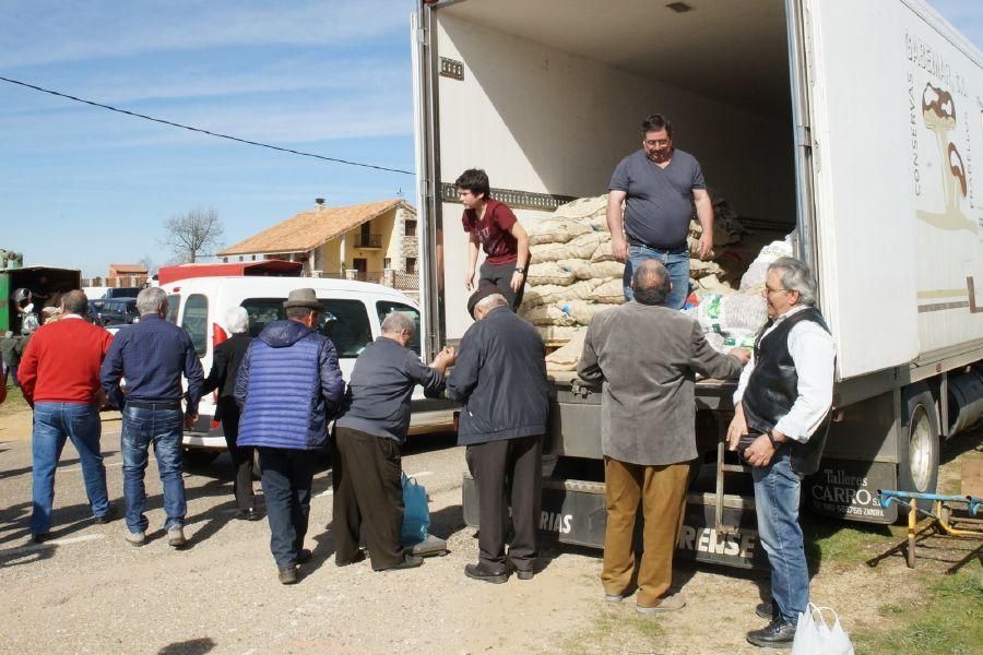 Feria del burro en San Vitero y romería