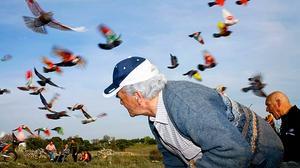 Fundació Foto Colectania acull l’exposició ’Fotolibros. Aquí i ara’ fins al 30 de juliol del 2014.