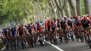 El pelotón durante la 15a etapa del Tour de France entre Limoux y Foix Prat dAlbi.