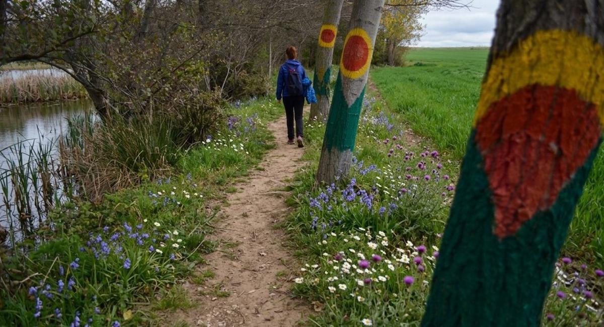 Una de las zonas que recorre la ribera del Tera. | E. P.