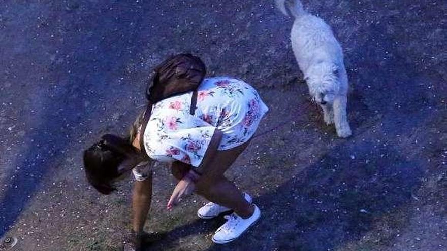 Una joven recoge las heces de su perro en Ponteareas. // A.H.