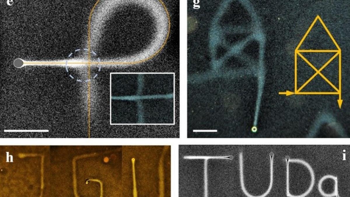 Por primera vez en la historia humana podemos escribir letras y figuras en el agua (barra de escala 250 µm).