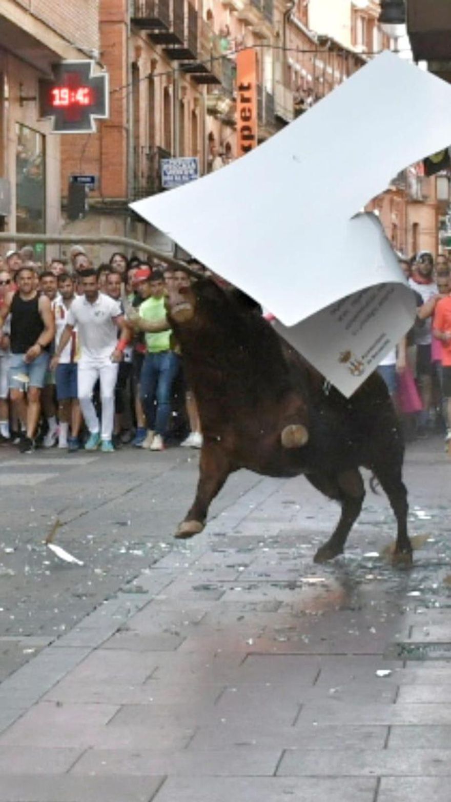 El torito Espléndido en la calle La Rúa de Benavente.