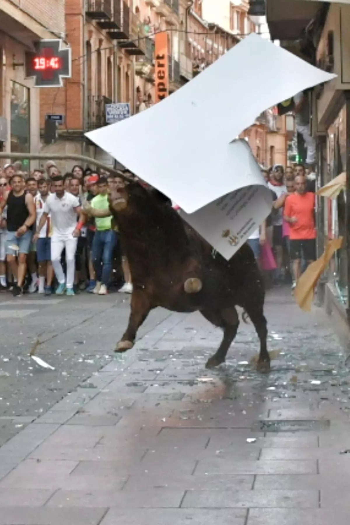 Así ha sido la carrera del torito Espléndido en Benavente