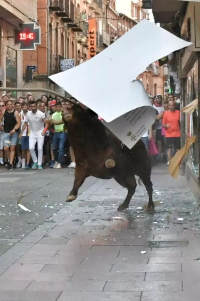Así ha sido la carrera del torito Espléndido en Benavente