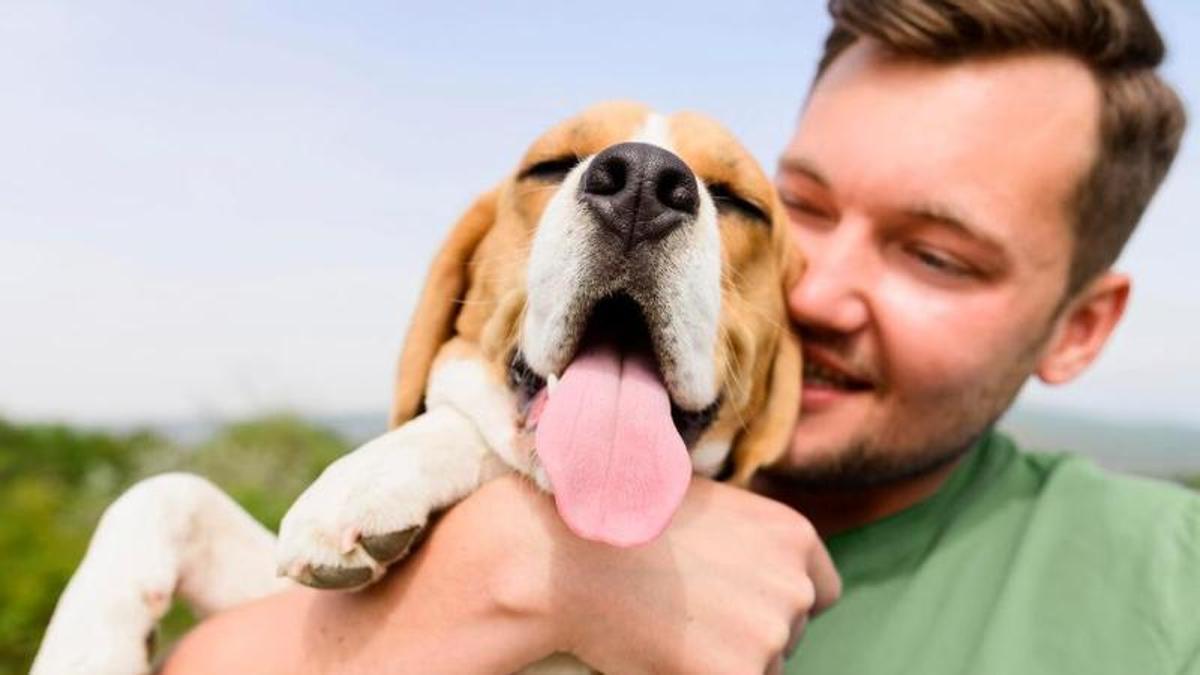 La teva mascota està feliç de veure't?