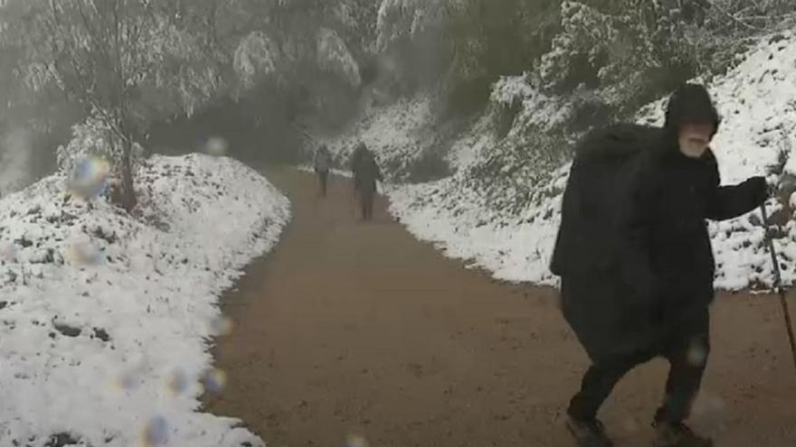 Peregrinos haciendo el Camino de Santiago en Lugo pese a la nevada.   | // FARO