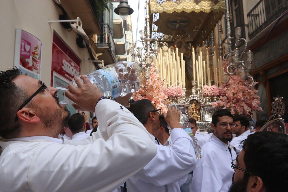 Domingo de Resurrección | Resucitado