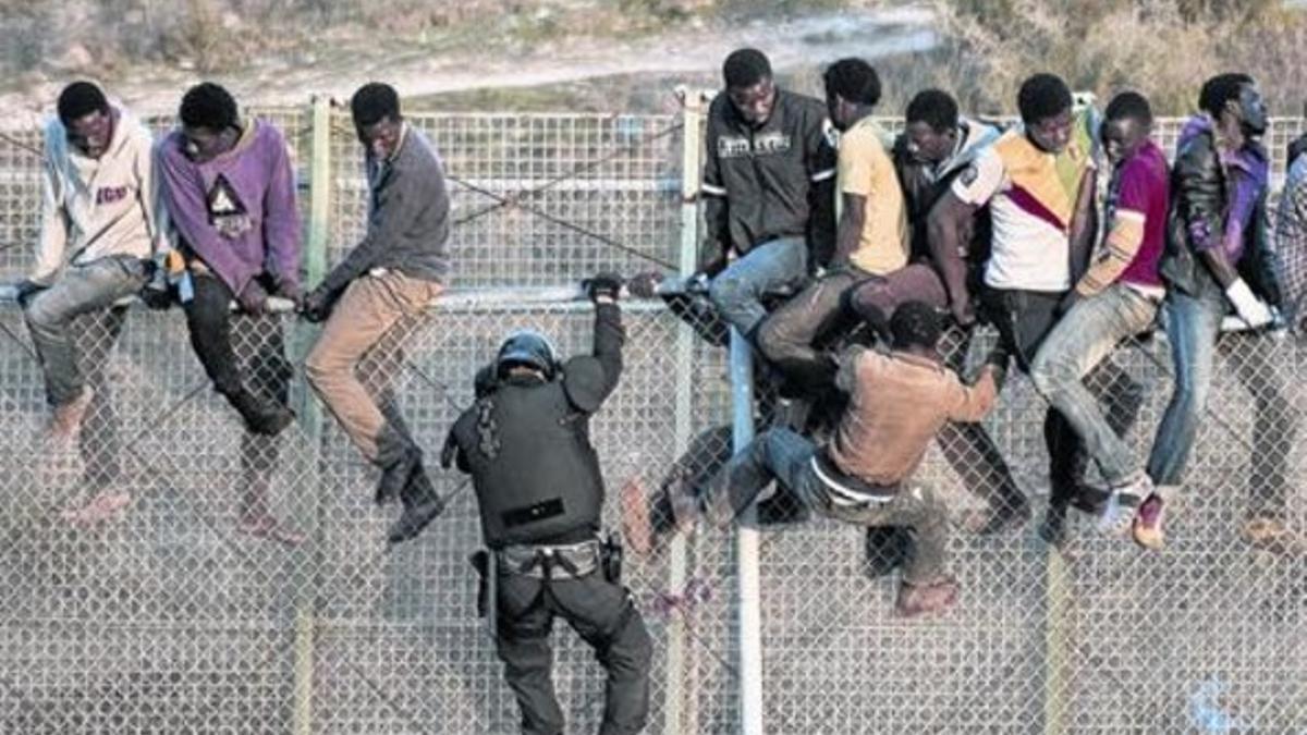 Un guardia civil inenta hacer baja a una docena de inmigrantes que resisten encaramados en lo alto de la valla de Melilla, ayer por la mañana.