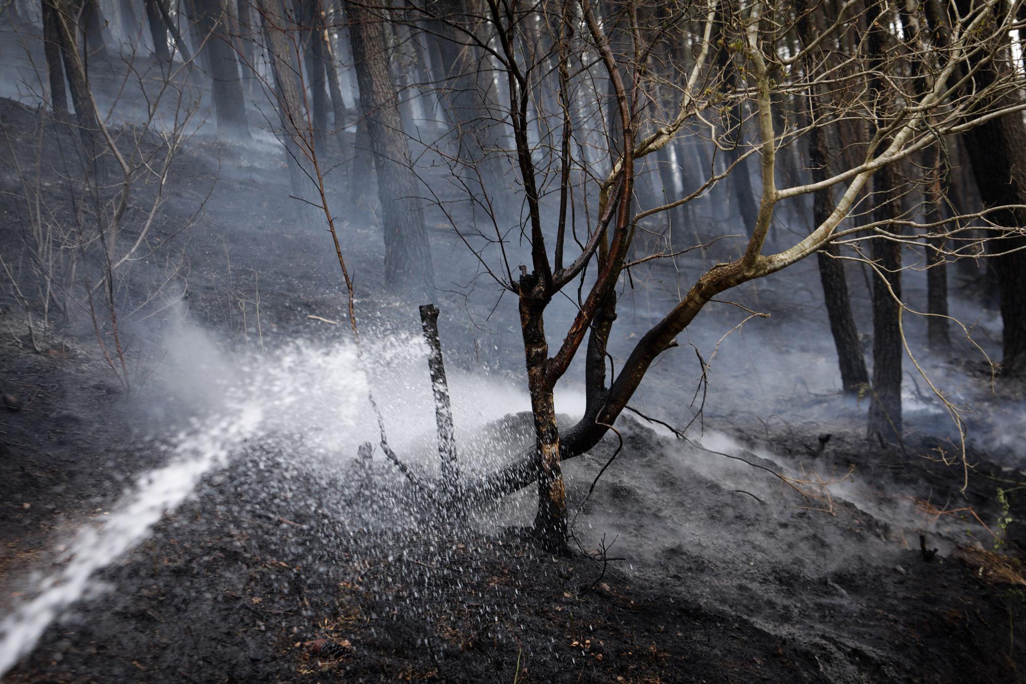 Trabajos de extinción de los incendios en Valdés