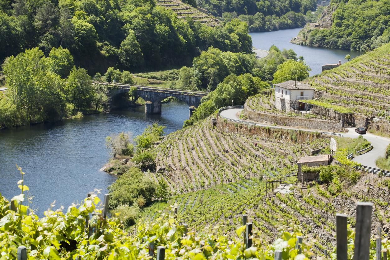 Vista aerea de la Ribeira sacra en Galicia
