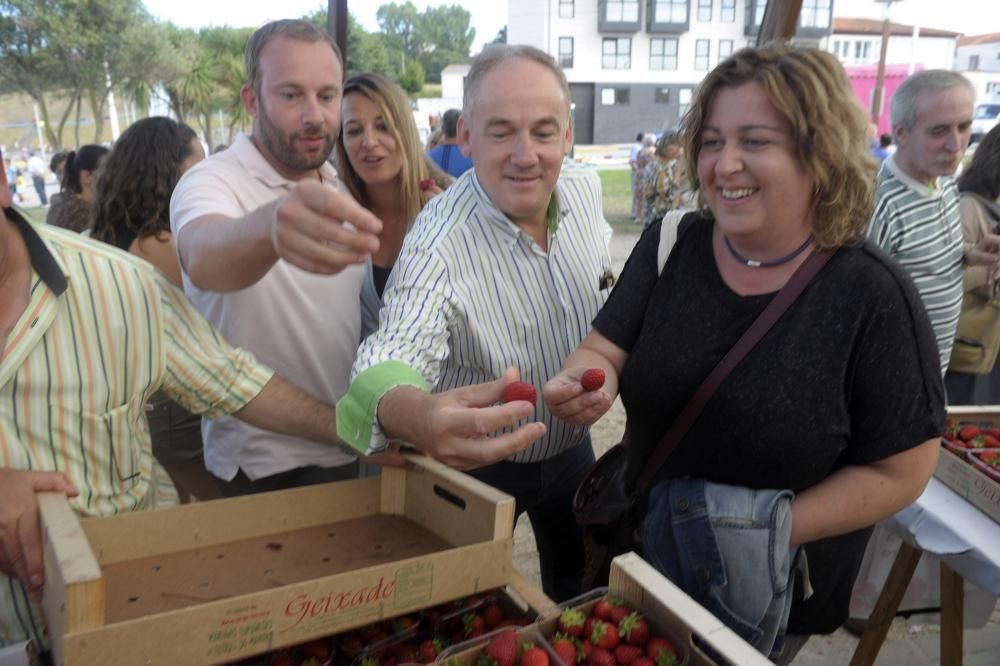 Fiesta de la Fresa 2016 en Eirís