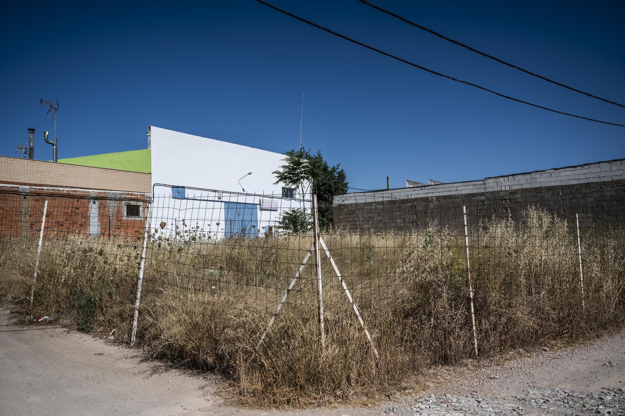 Galería | Estado actual de Charca Musia