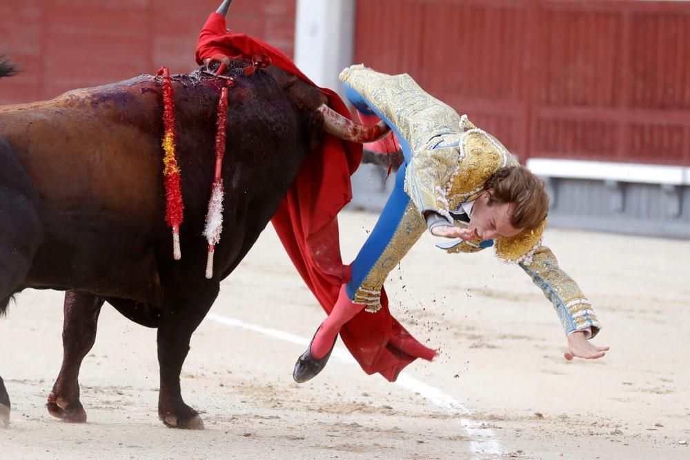 Grave cogida al torero Román en Las Ventas