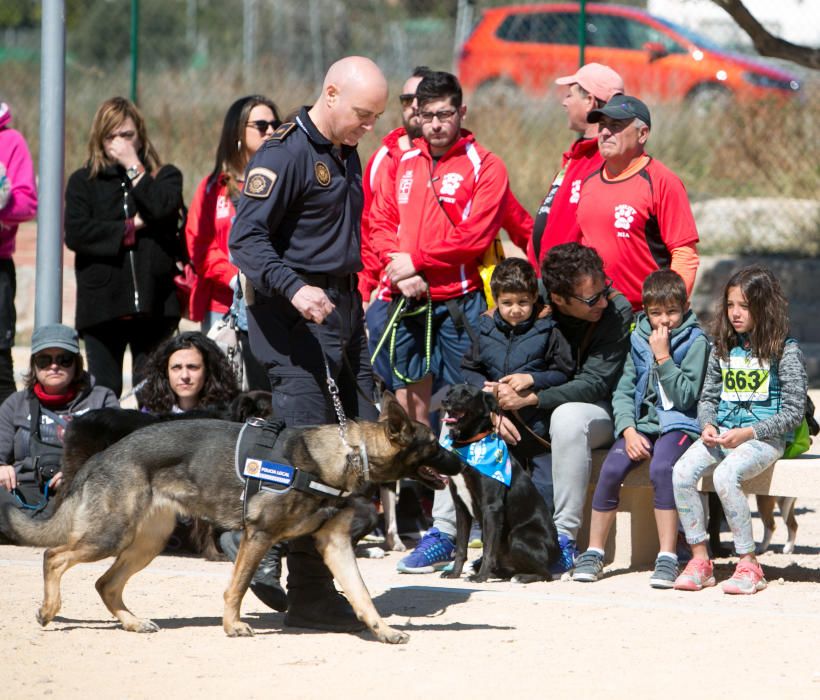 Can We Run: Gran carrera de perros para la concienciación animal