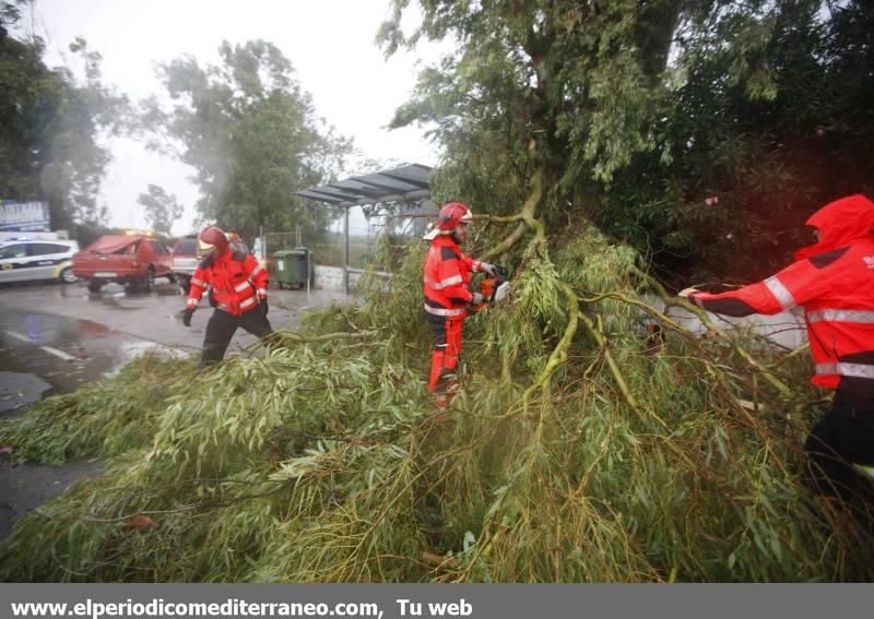 GALERÍA DE FOTOS -- Efectos de las tormentas en la provincia