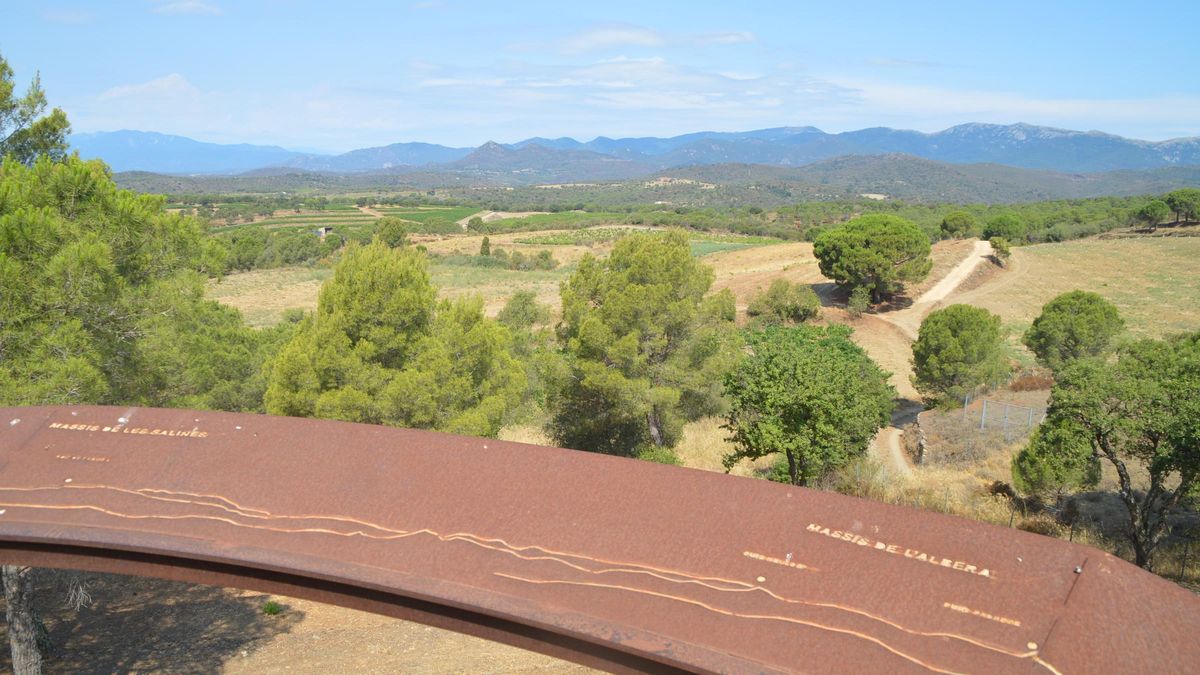 El massis de l'Albera vist del mirador del suro a Vilamaniscle.