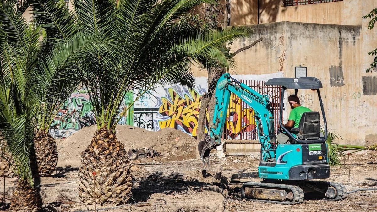 Elda prepara la plantación de 20 árboles para convertir la plaza Rosalía de Castro en un refugio climático